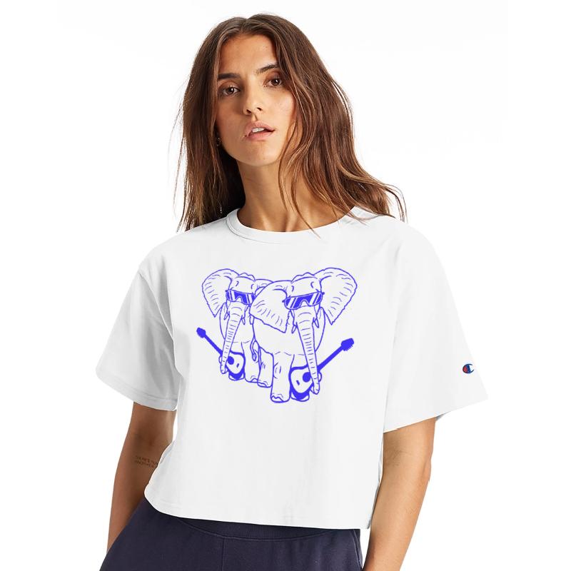 2 Guitars Elephants Sweet Two Friends Band Team
