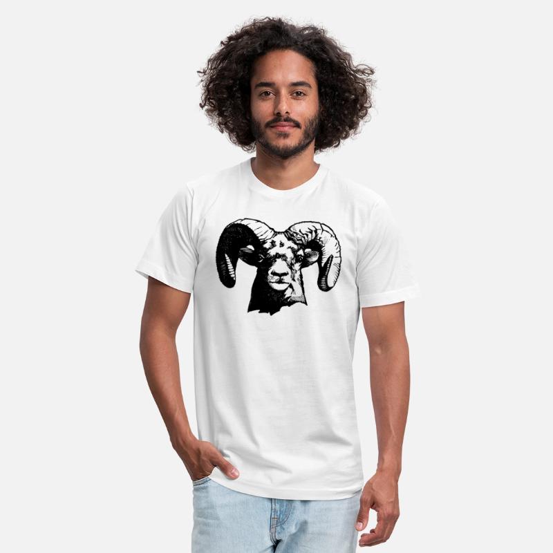 Big Horned Sheep