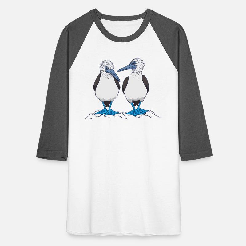 Boobies Seabirds Blue-Footed Booby Bird
