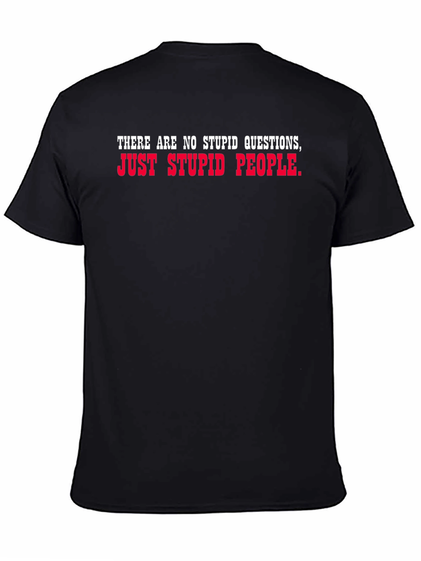 Funny Sarcastic T-Shirt - No Stupid Questions