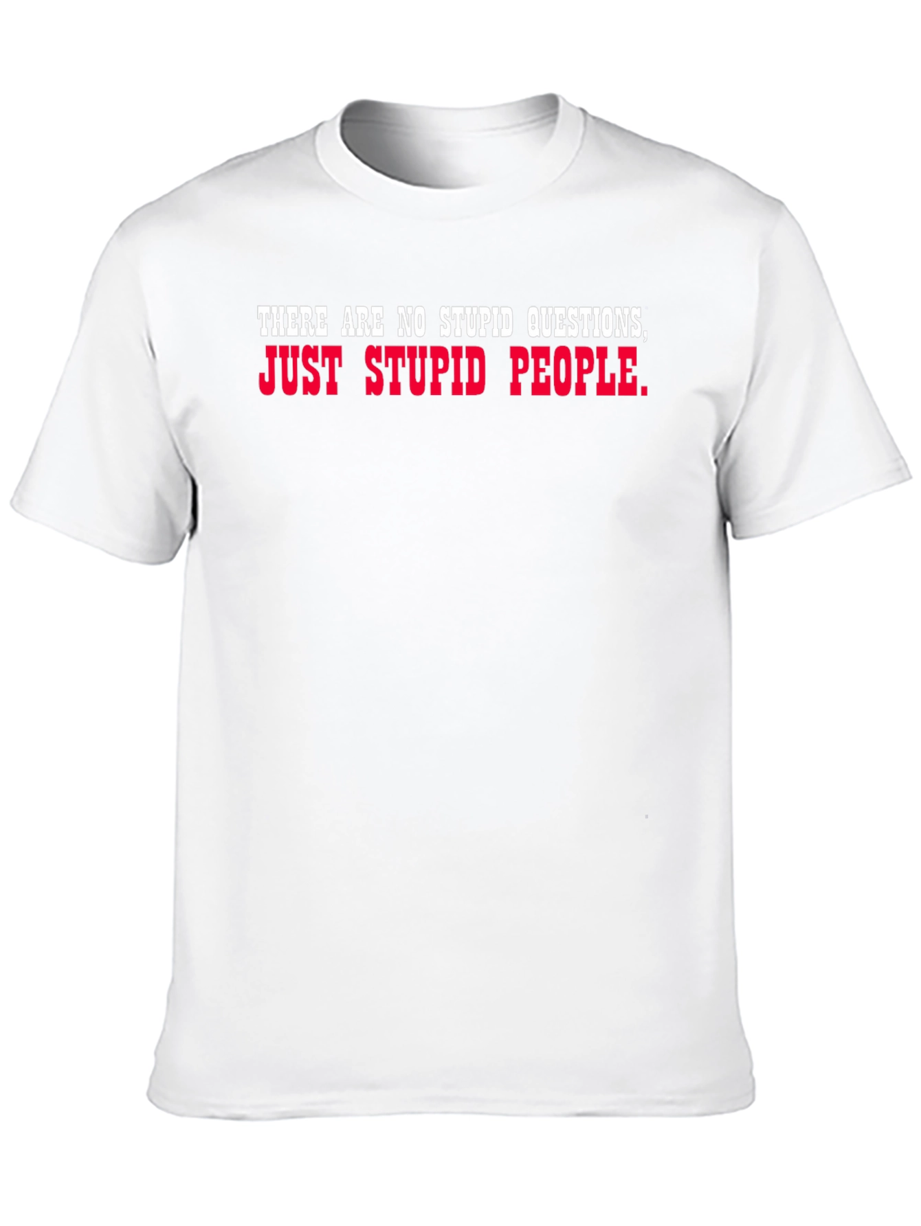 Funny Sarcastic T-Shirt - No Stupid Questions