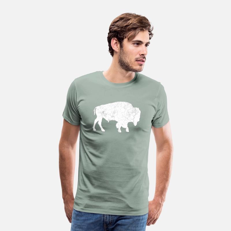 Distressed Buffalo Bison Animal