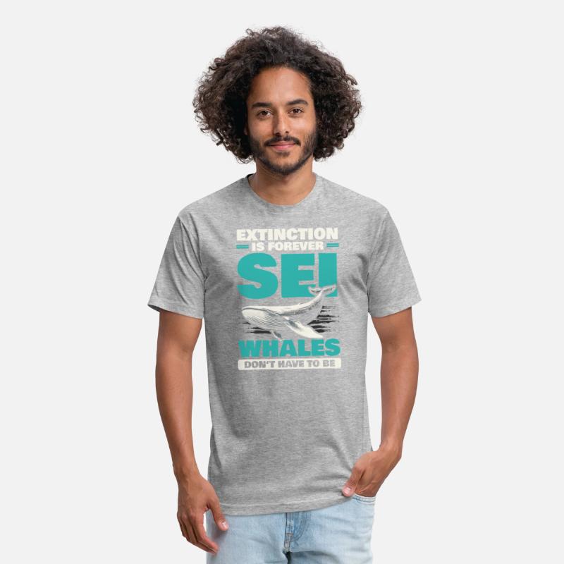Endangered Species Sei Whale Animal Rights