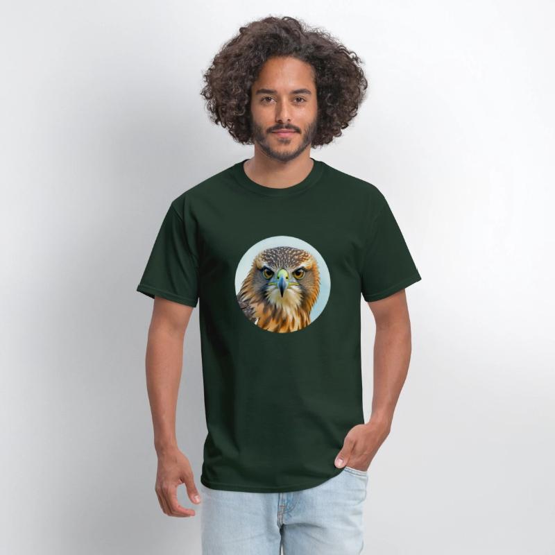 Hawk stare regal bird of prey birding bird watcher