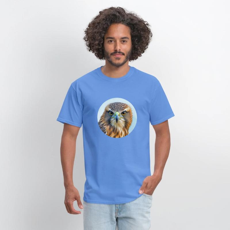 Hawk stare regal bird of prey birding bird watcher