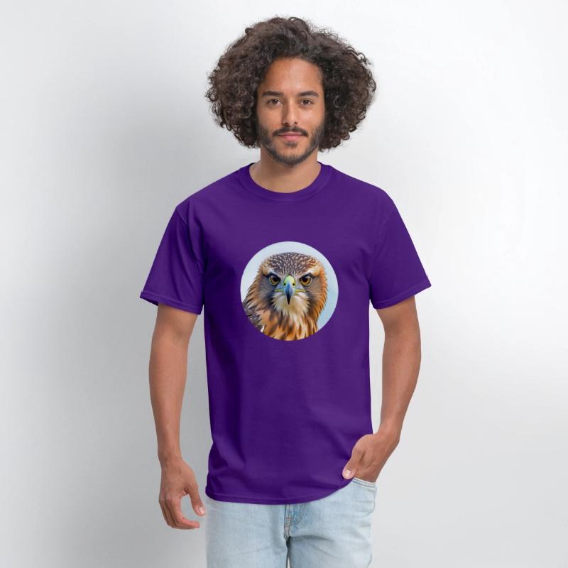 Hawk stare regal bird of prey birding bird watcher