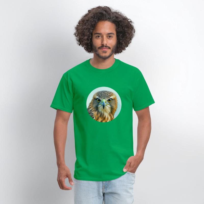 Hawk stare regal bird of prey birding bird watcher
