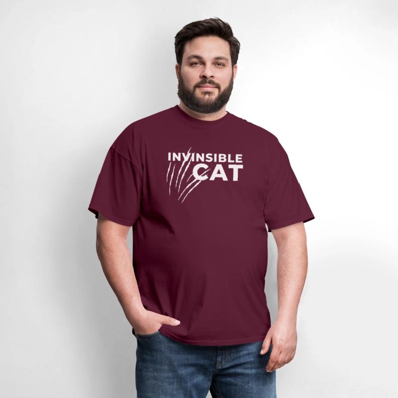 Invisible Cat