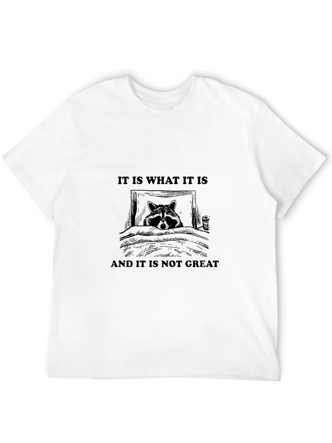 Raccoon It Is What It Is Graphic Tee