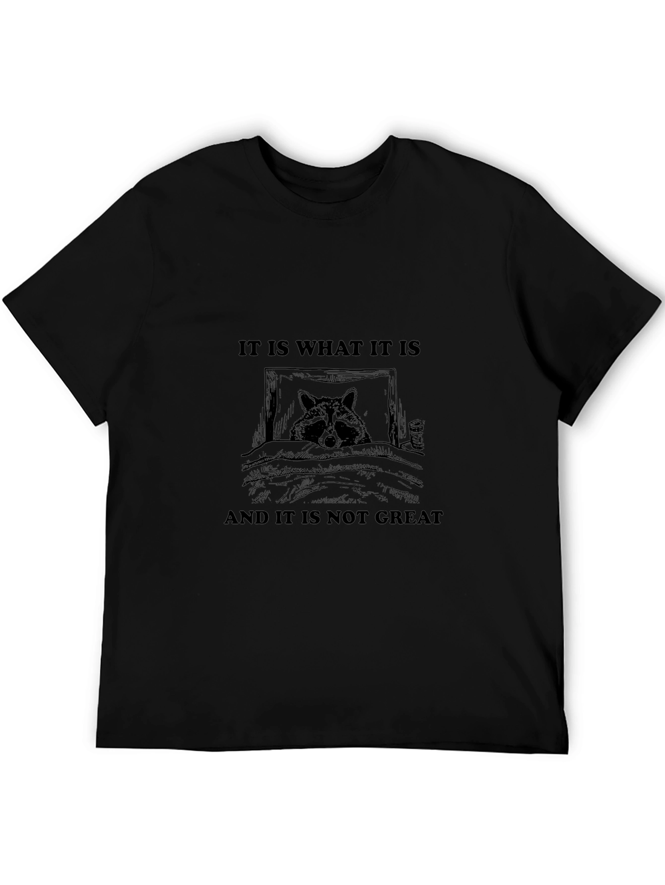 Raccoon It Is What It Is Graphic Tee