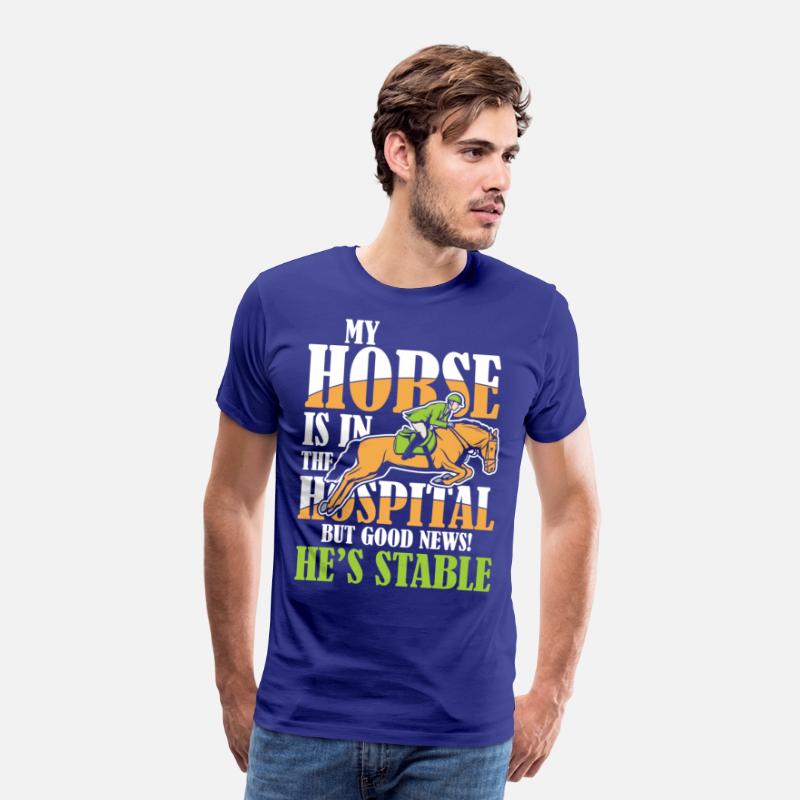 My Horse Is In The Hospital But Good News Stable