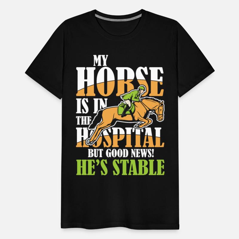 My Horse Is In The Hospital But Good News Stable