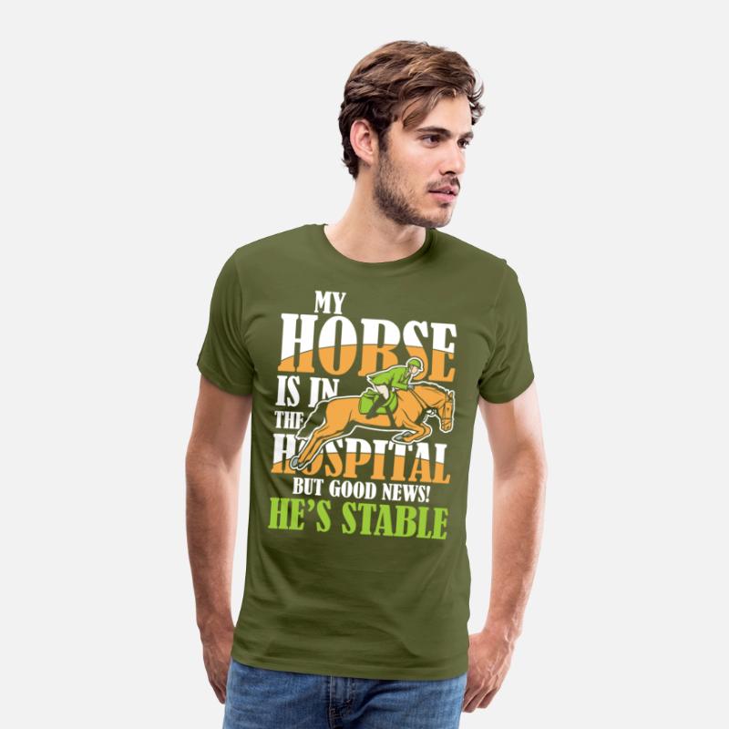 My Horse Is In The Hospital But Good News Stable