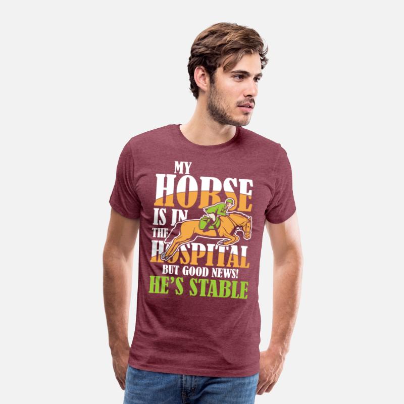 My Horse Is In The Hospital But Good News Stable