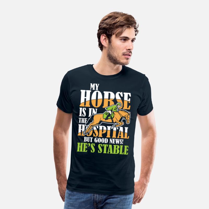 My Horse Is In The Hospital But Good News Stable