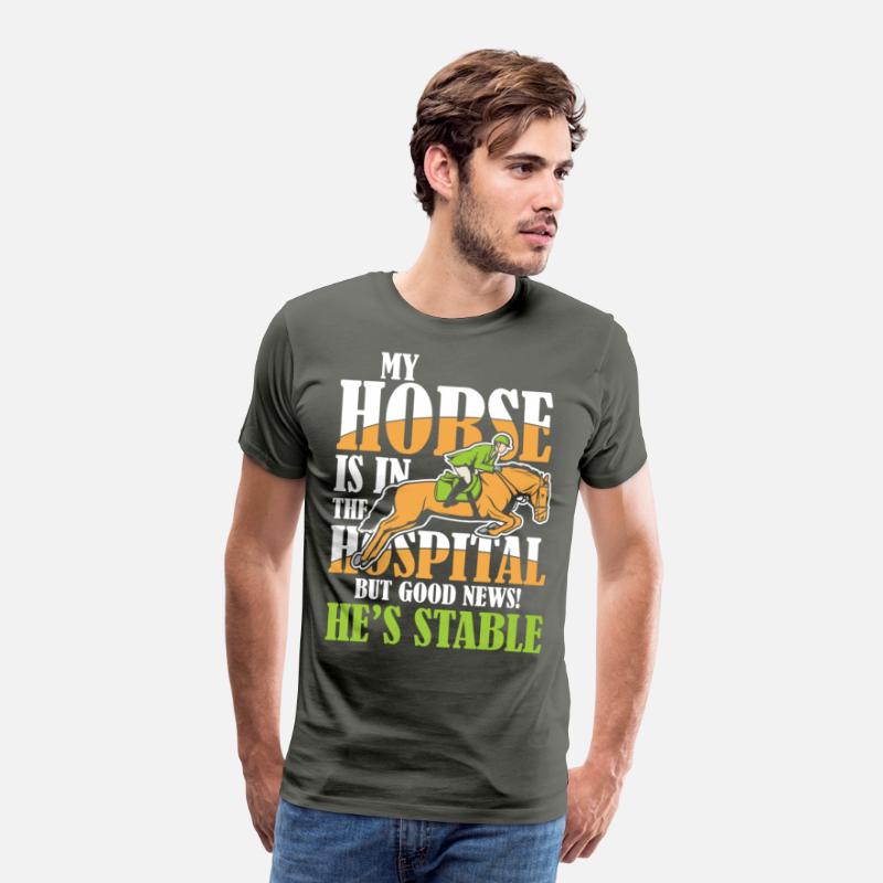 My Horse Is In The Hospital But Good News Stable