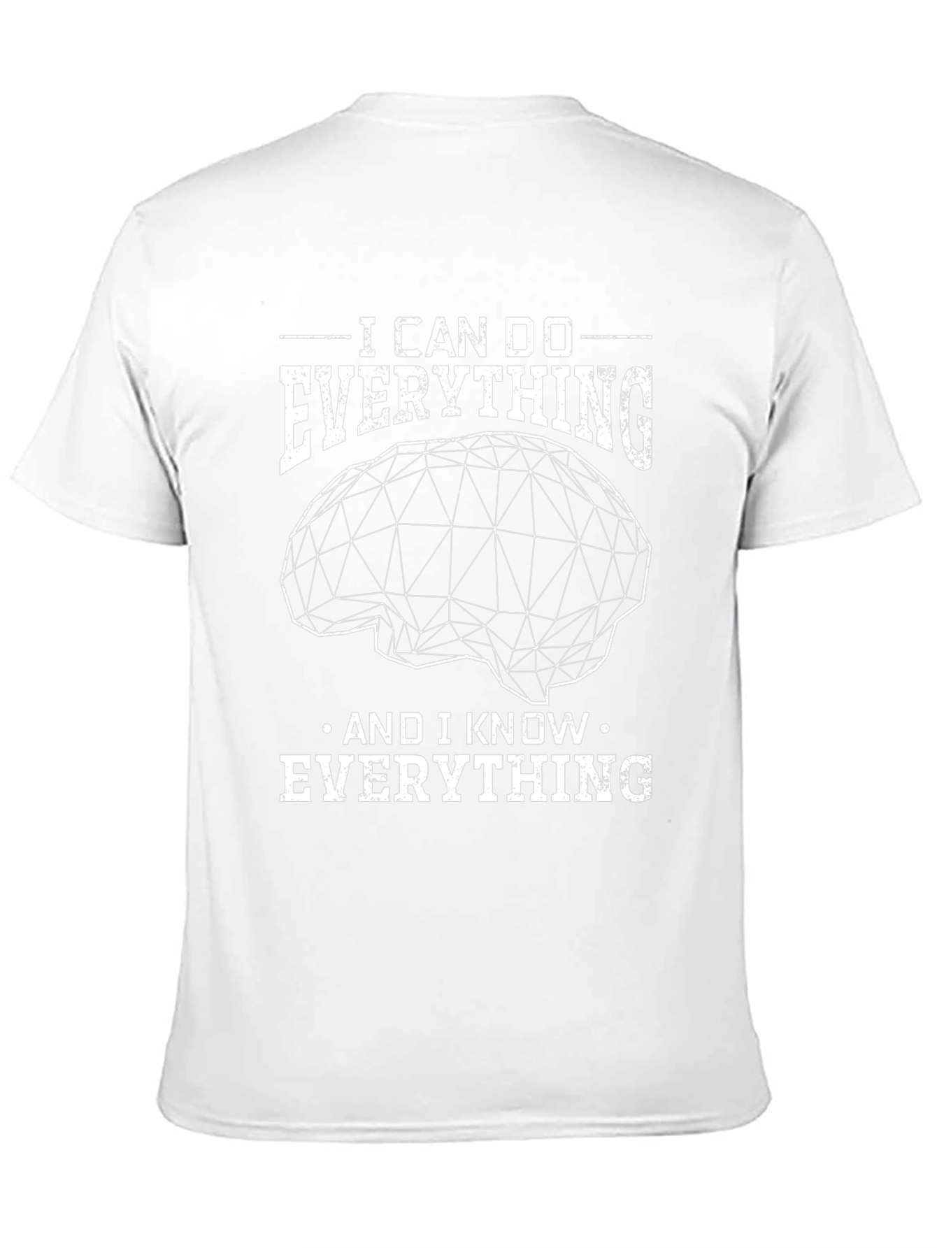 I Can Do Everything Mens Graphic Tee