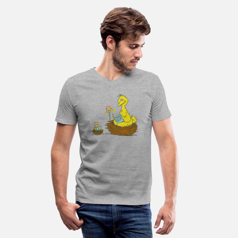 Sesame Street Big Bird And Little Bird Reading