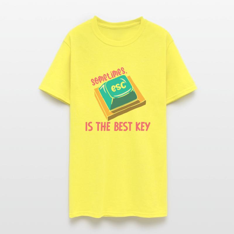 Software Engineer Computer Key Programming
