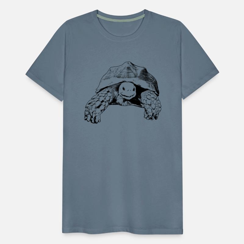 Sulcata Tortoise African Spurred Tortoise Turtle