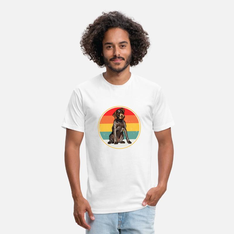 Sunset German Wirehaired Pointer Dog
