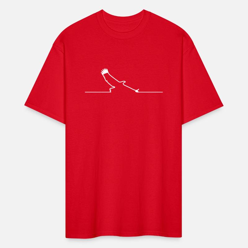 White line eagle bird of prey birds animals