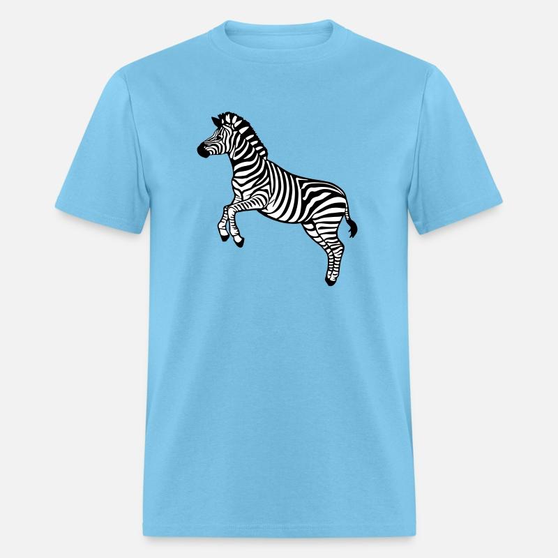 zebra Botswana